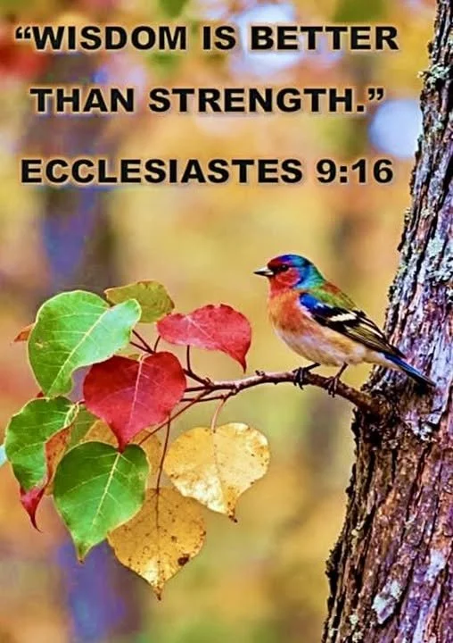 Wisdom is Better than Strength
