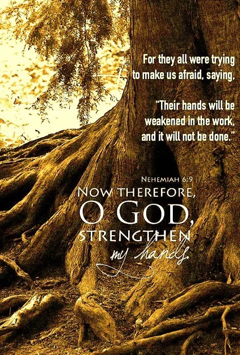 Hold Your Ground