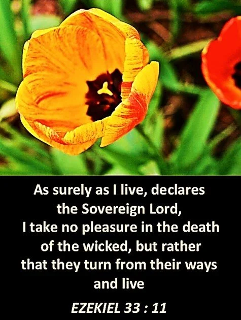 A Tender Heart Needed
