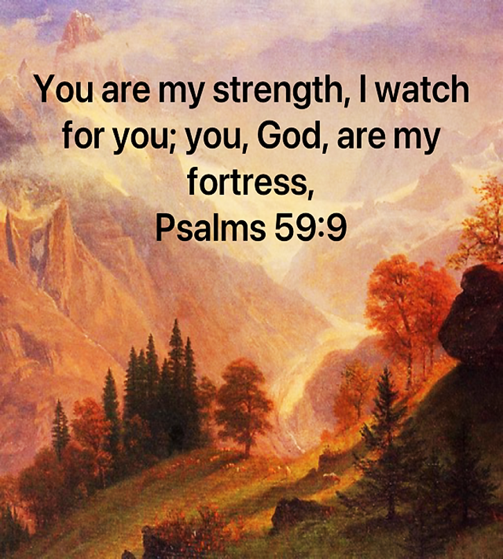 Fortress Faith
