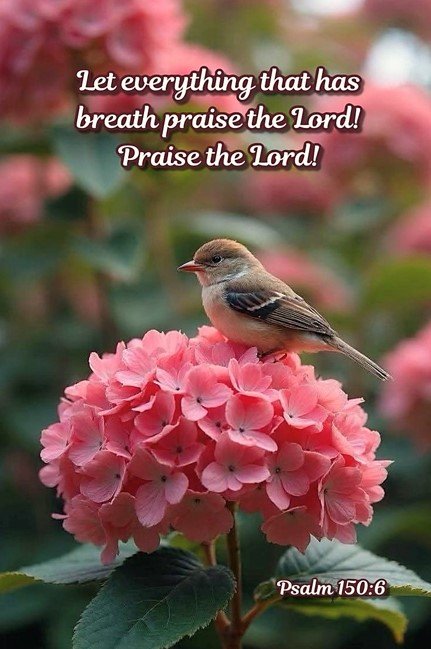 Lift Up Praise