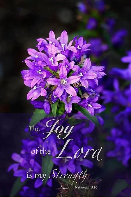 The Joy Powered Life