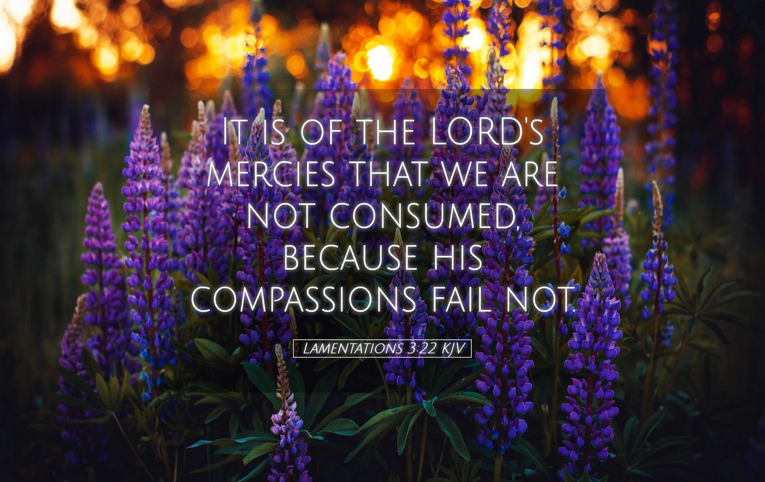 Fresh Mercies Served Daily