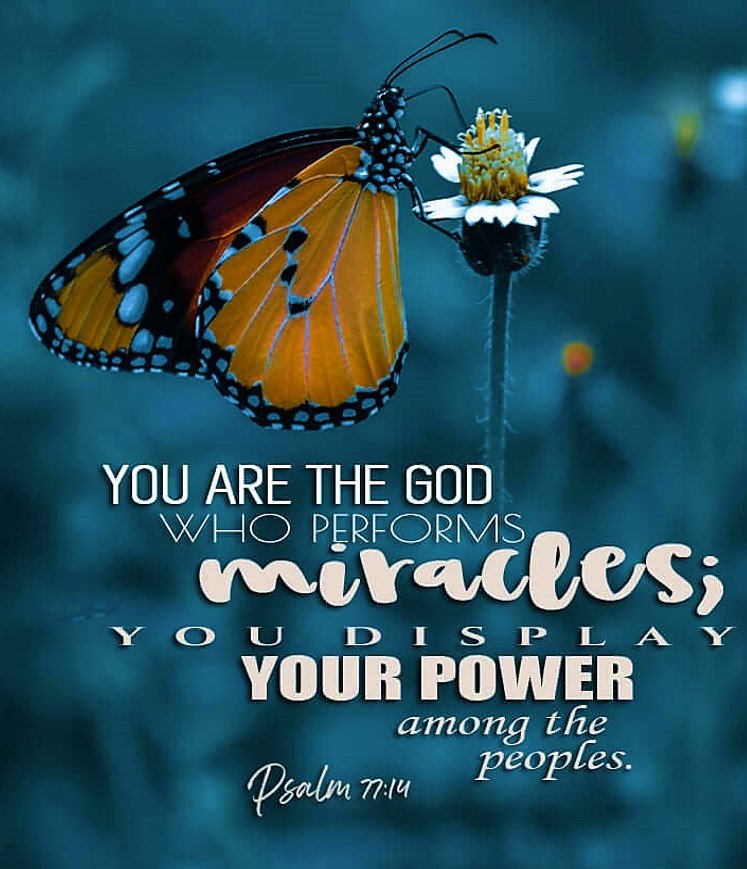 When God Clears a Path