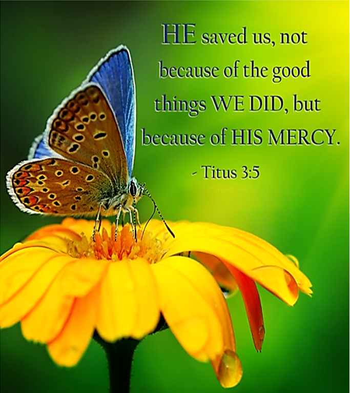 Held Together by Grace