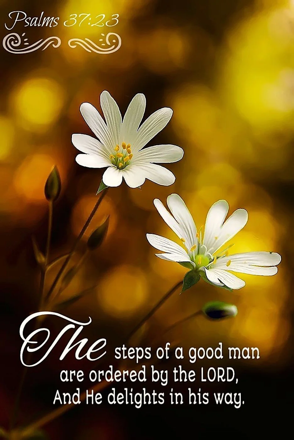 Divine Appointments