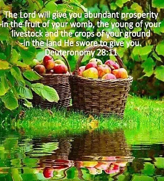 Bucketfuls of Grace