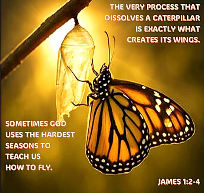 Grace Hidden in Hard Places