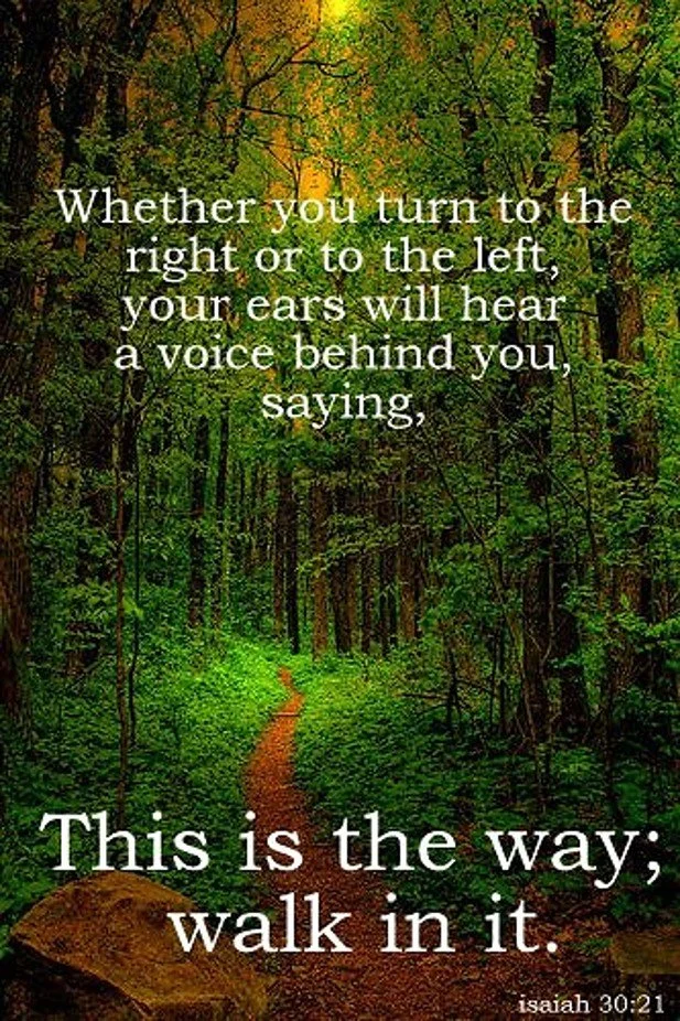 The Nudge that Turns into a Path