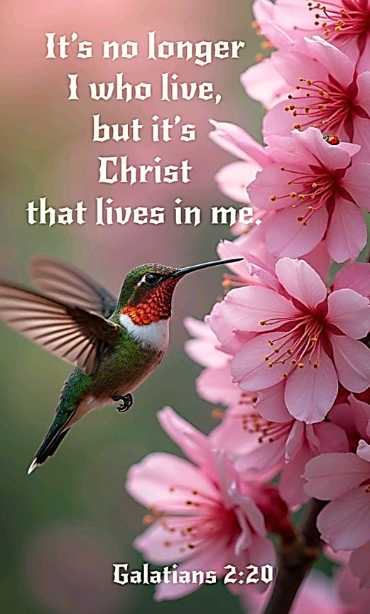 Powered by the Spirit