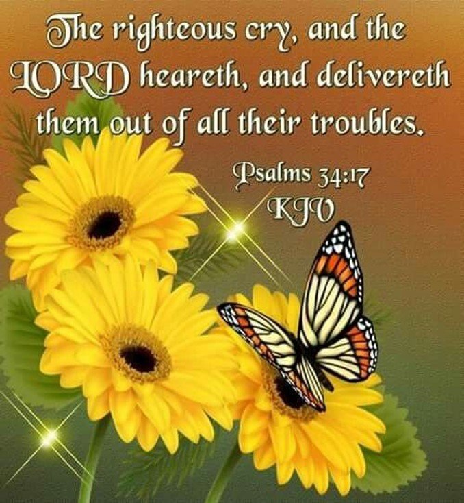 Lifted by the Spirit
