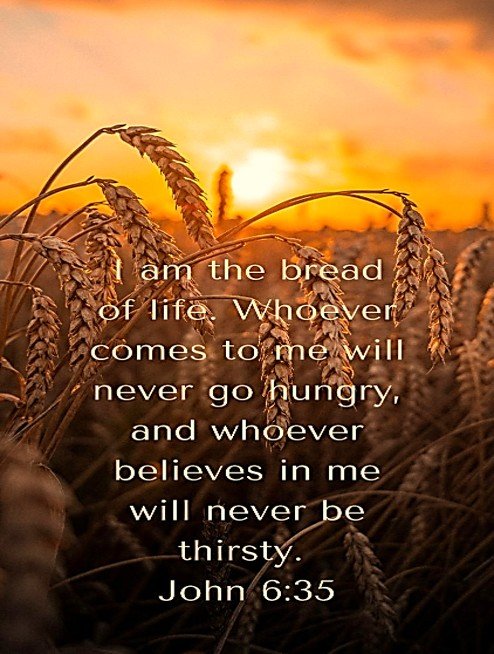 The Bread that Satisfies