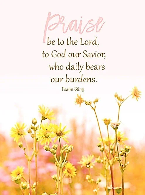 Morning Mercies