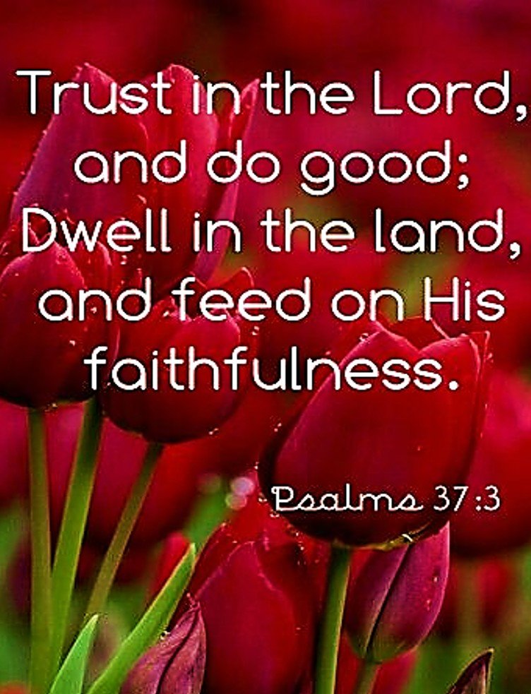 Faith Over Frettin’