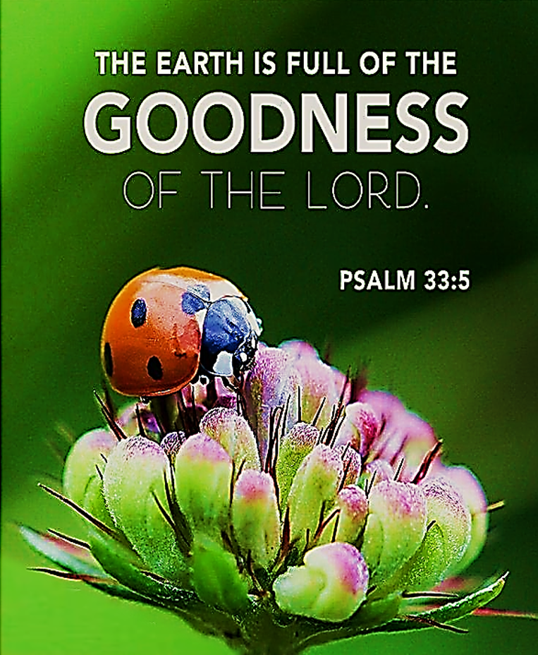 Leadership That Blesses