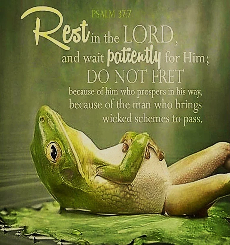 Blessings by the Brook