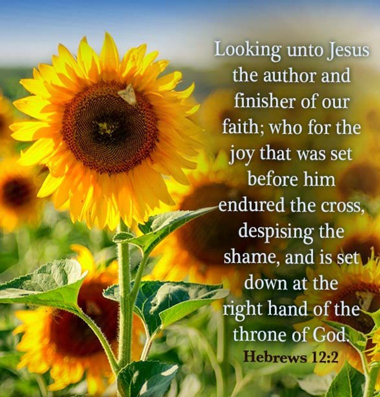 You Can’t Stir Up Faith