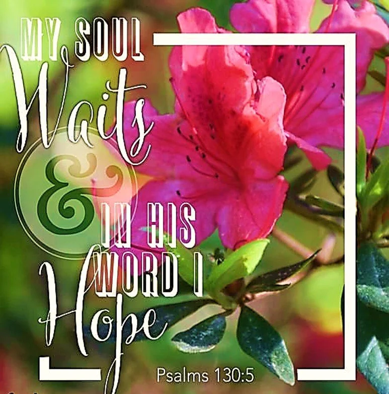 Where God Plants Tomorrow