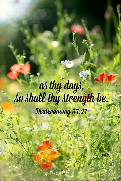 Grace for this Day