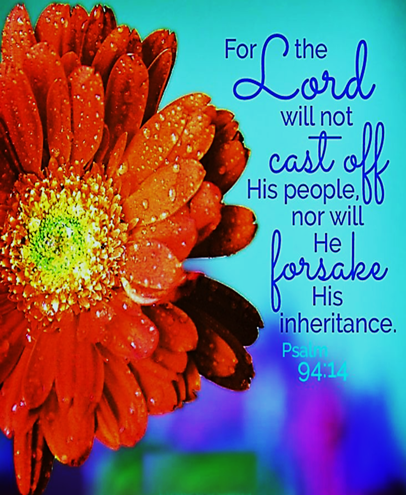 Never Forsaken