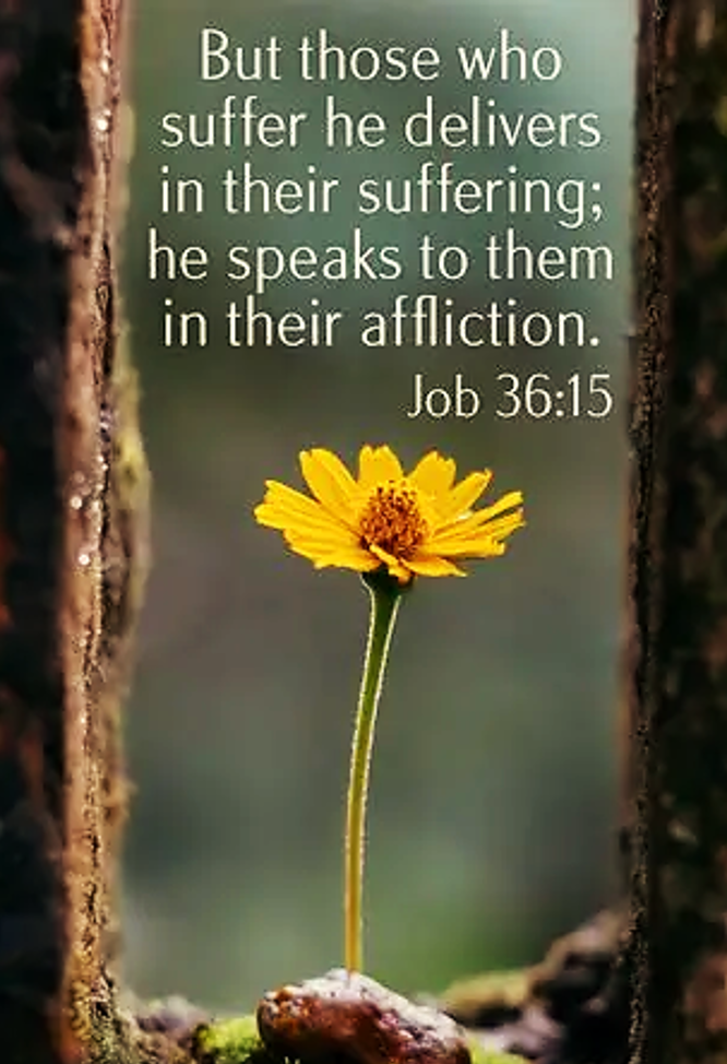 Clearer in Hard Times
