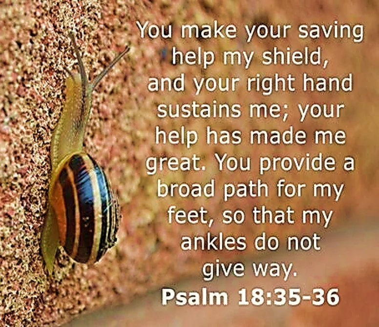 The Grip That Guides You