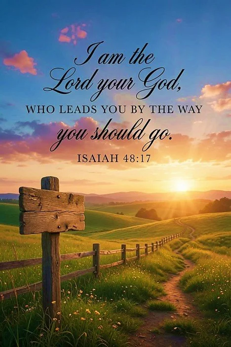 Guided Every Which Way