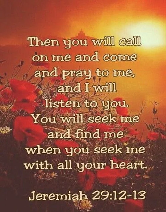 More Than a Miracle