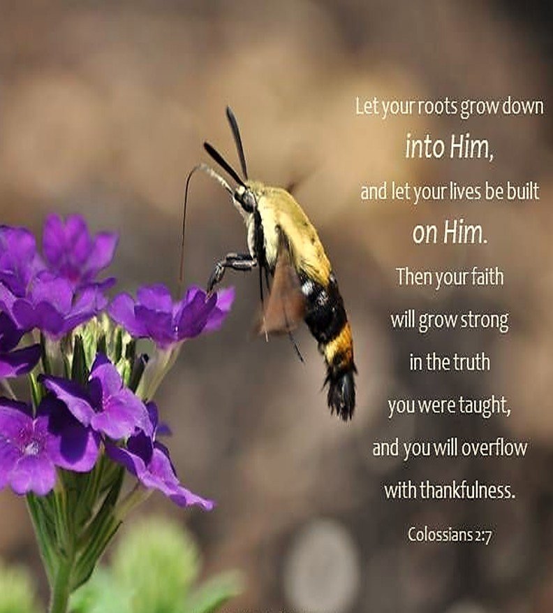 The Long Work of Grace