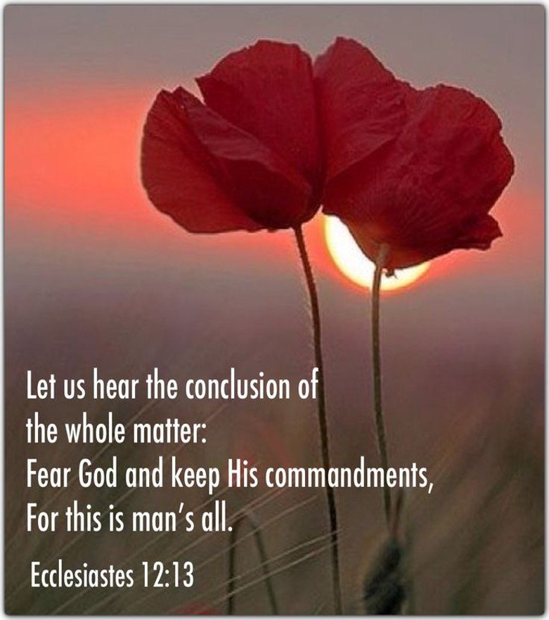 The Joys of Obedience
