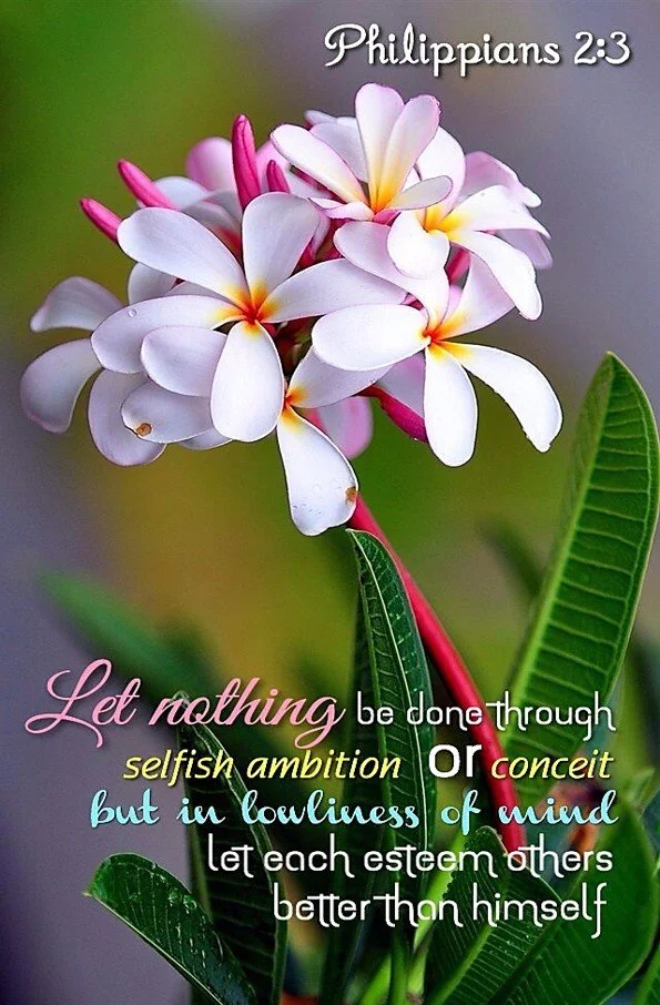 Accessible Grace