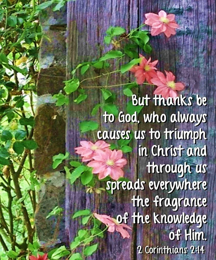 You are a Walking Blessing