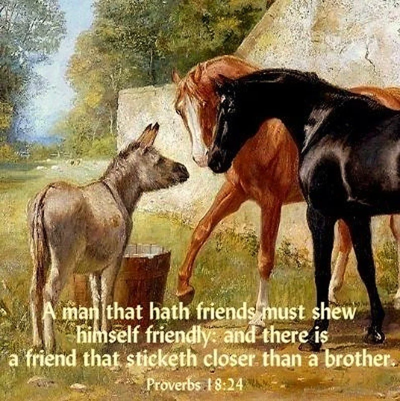A True Friend Who Holds You Close