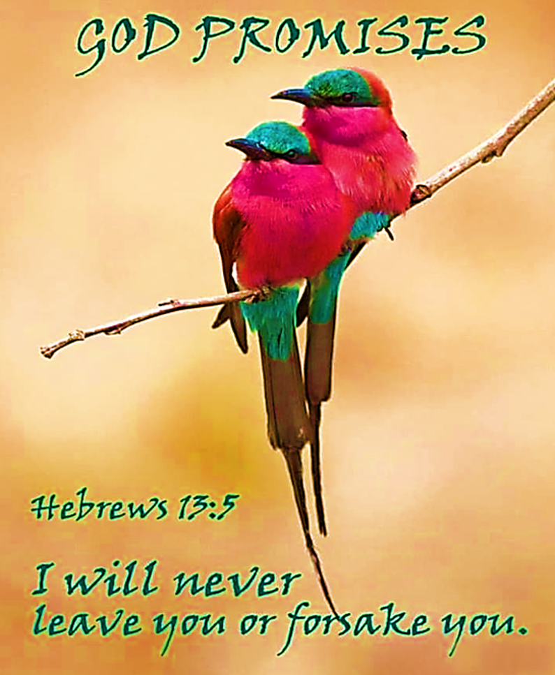 Enough Because God is with You