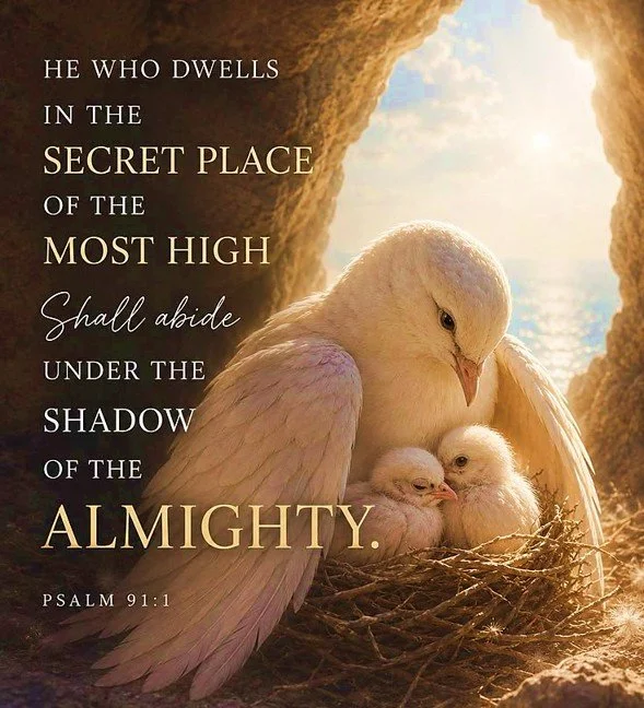 Sheltered by His Name