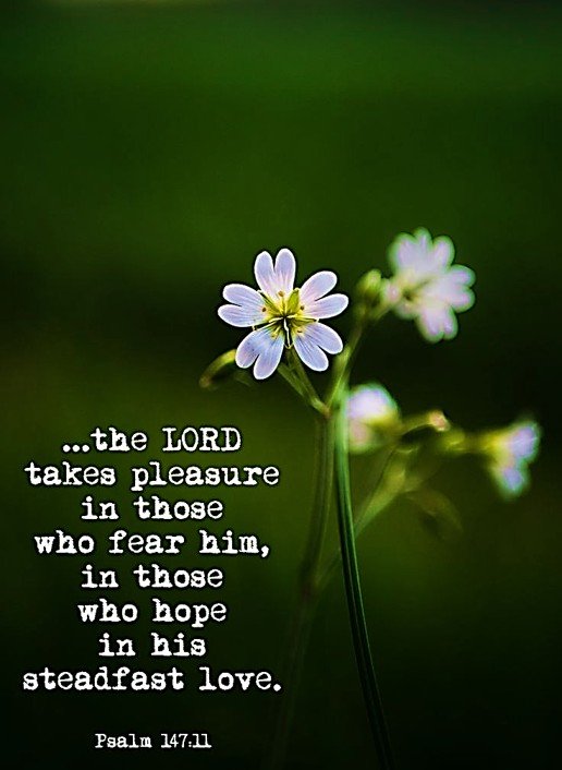 Hearts God Can Use