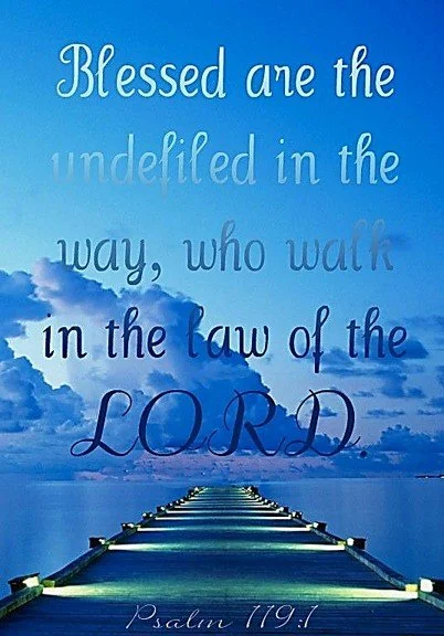 Joy that Walks Forward