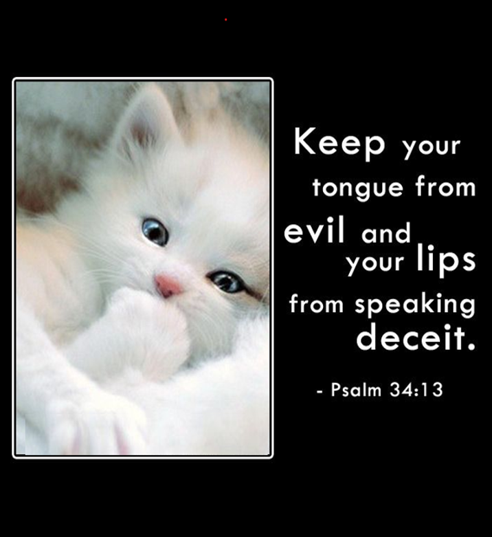 Words That Hold Steady