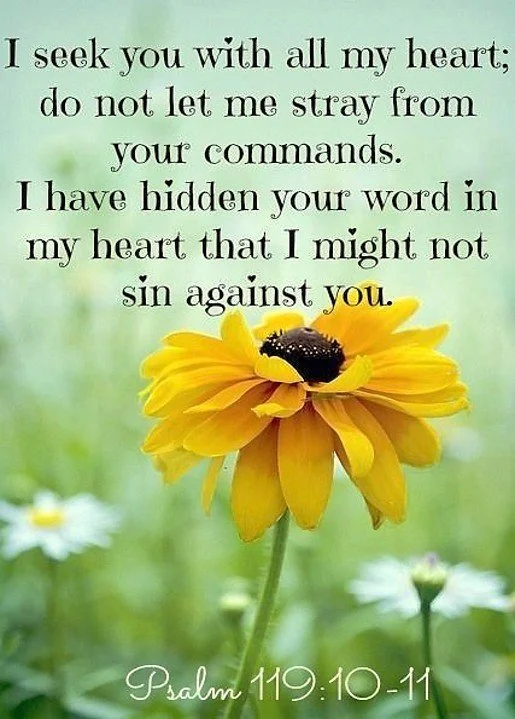 The Heart’s Hidden Treasure
