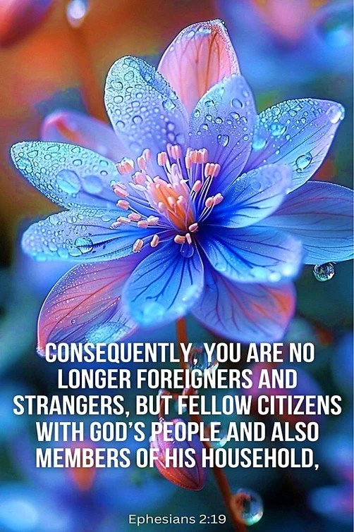 The Forever Family You Belong To