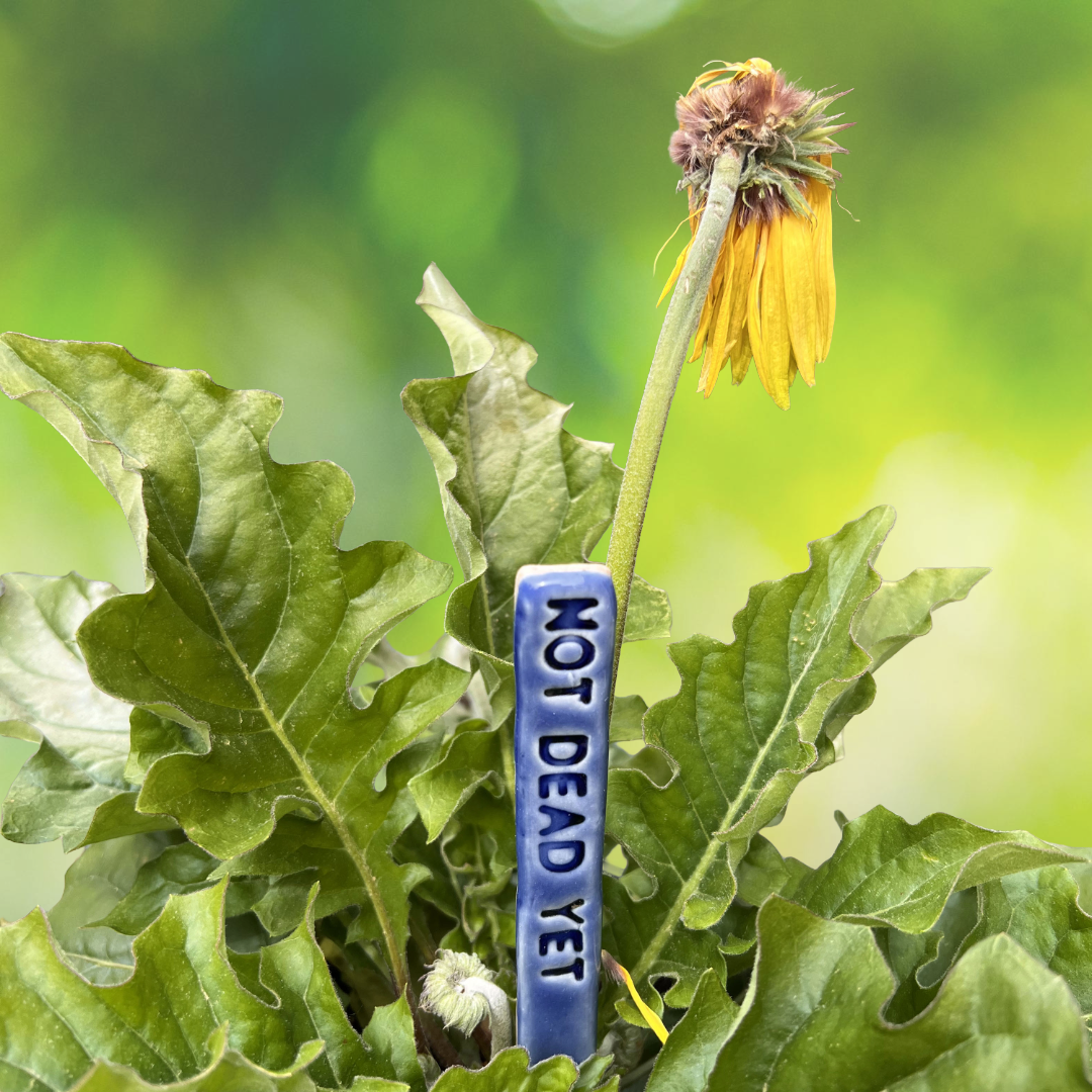 Not Dead Yet Deep Tide Blue Ceramic Plant Marker
