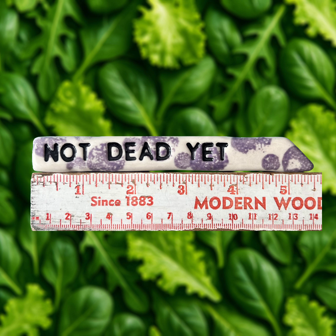 NDY Hydrangea Speckle ruler.png
