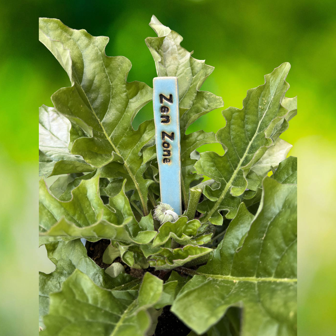 Coyote Blue Zen Zone-plant.png