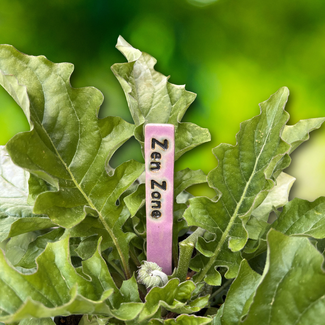 Violet Zen Zone Plant.png