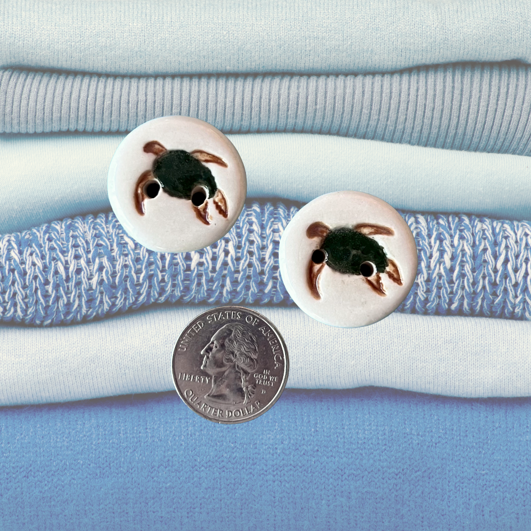 Sea Turtle Button coin.png