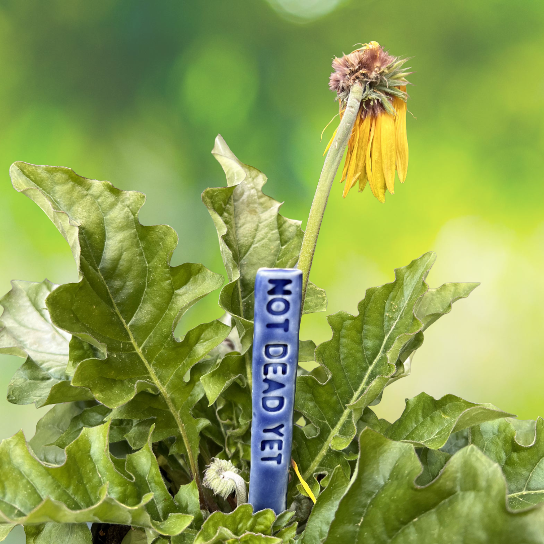 Not Dead Yet Deep Tide Blue Ceramic Plant Marker