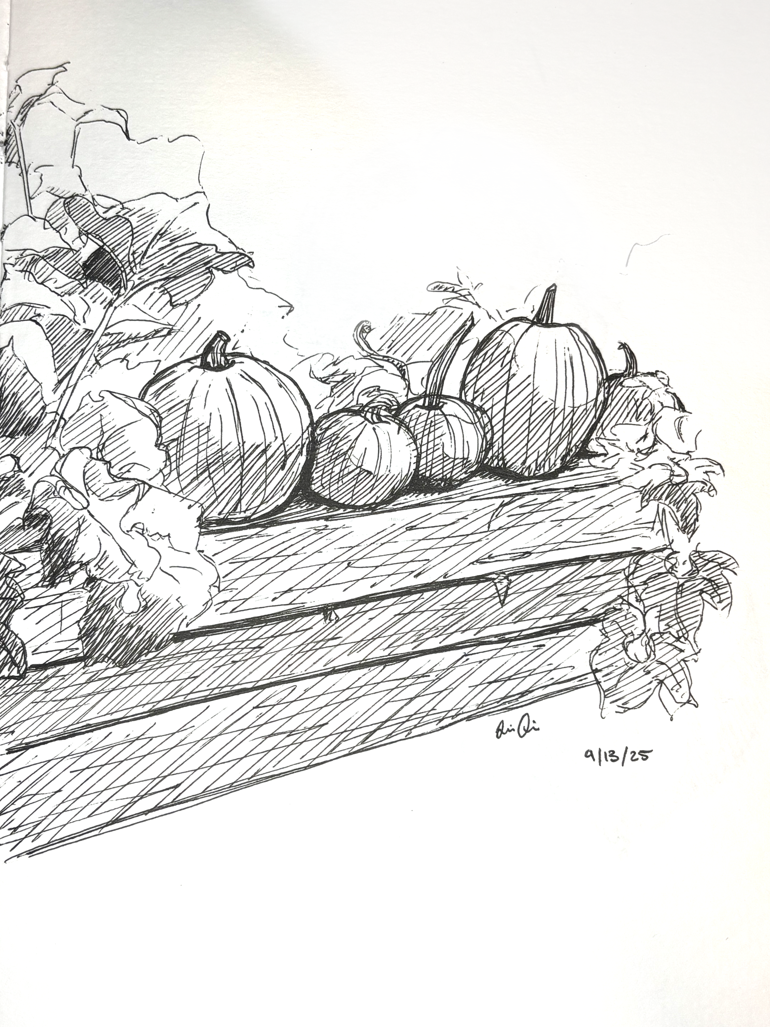 Still_Life_Pumpkin.png