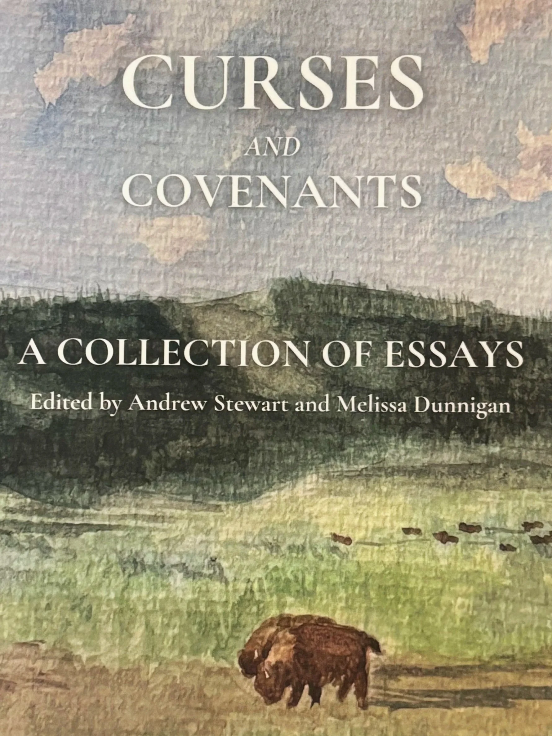 Co-editor for Essay Collection
