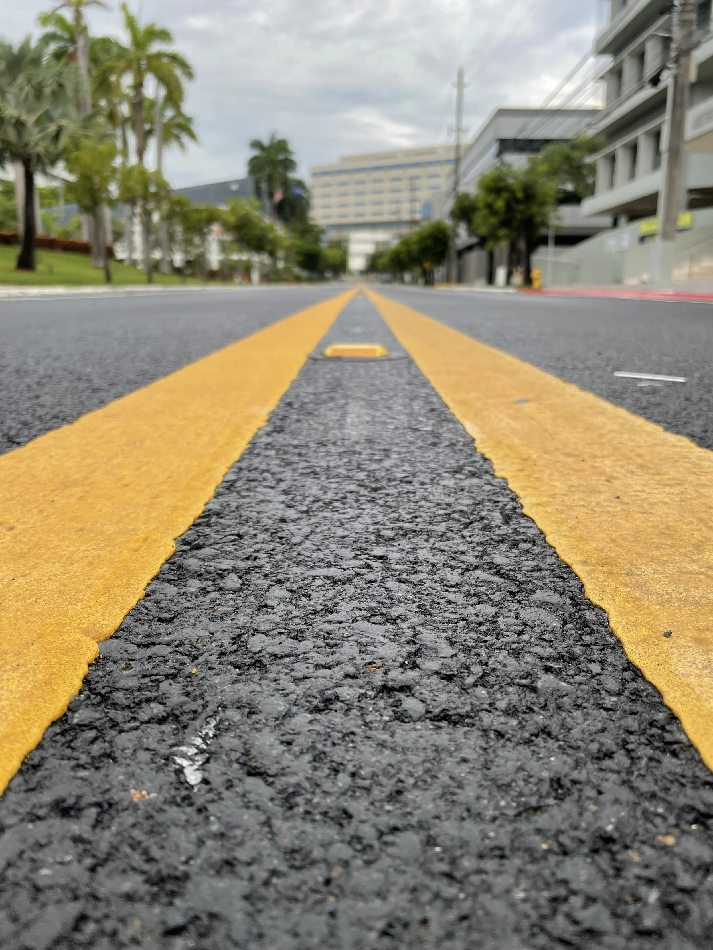 Close-up view of a road with yellow double lines from ground level, with trees, buildings, and cloudy sky in the background.
