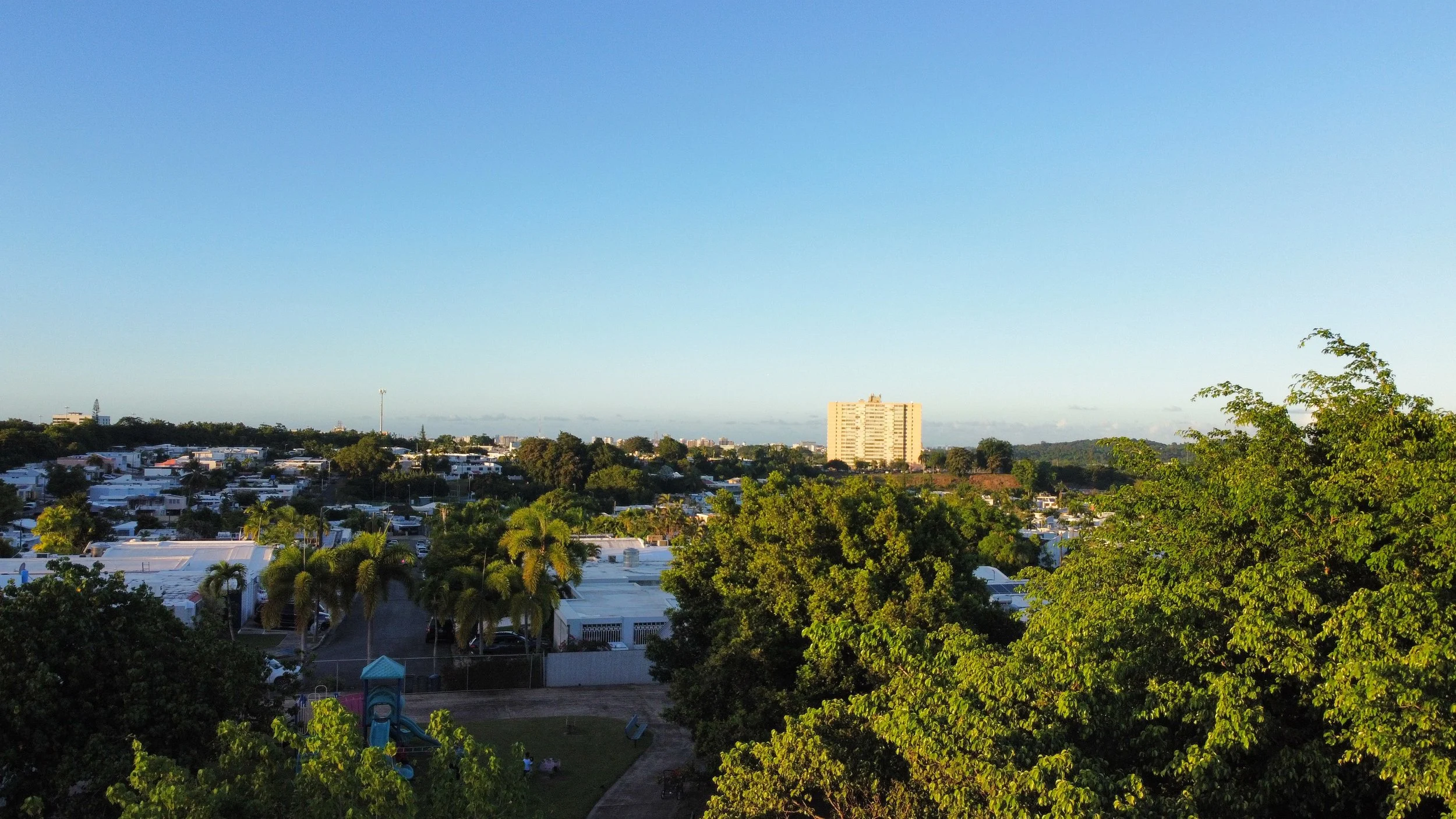 A cityscape with green trees in the foreground and buildings and a clear blue sky in the background